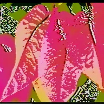 P̸U̸Y̸U̸T̸O̸K #01
