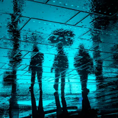 Reverie in Rain