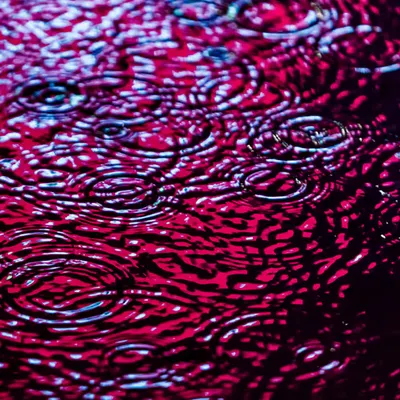 DRIP #120