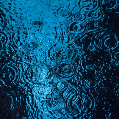 DRIP #131