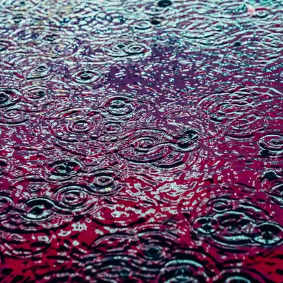 DRIP #138