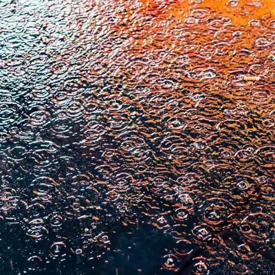 DRIP #139