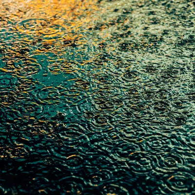 DRIP #151