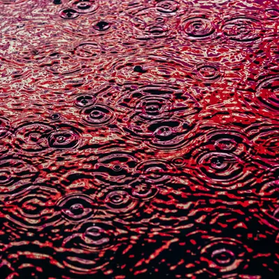 DRIP #159