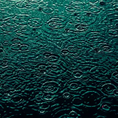 DRIP #186