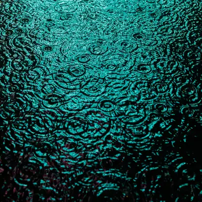 DRIP #189