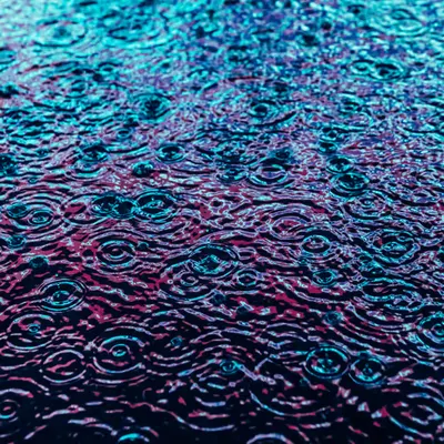 DRIP #195