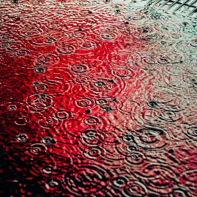DRIP #6: ECHO