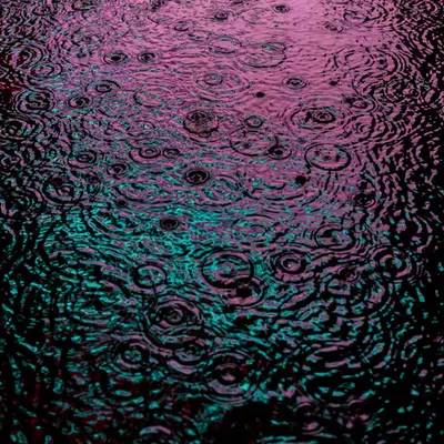 DRIP #9: TRANSMISSION