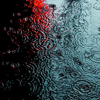 DRIP #941
