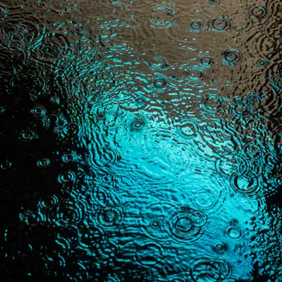 DRIP #946