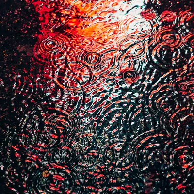 DRIP #978