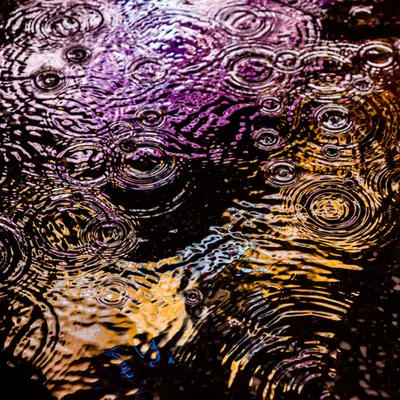 DRIP #984
