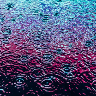 DRIP #985