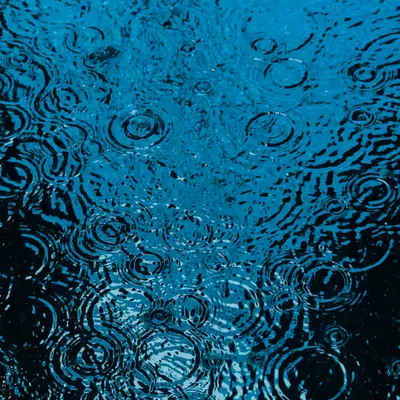 DRIP #993