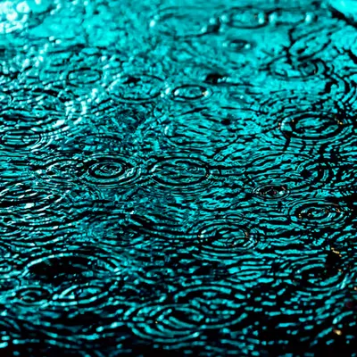DRIP #996