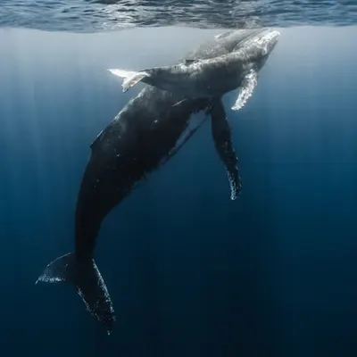 Tales from the Blue Planet - Part I