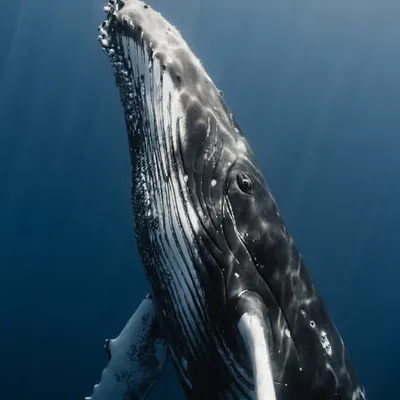 Contact