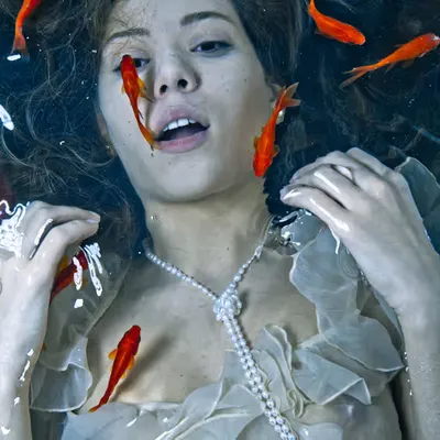 Queen of Goldfish