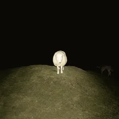 Master Manipulator 