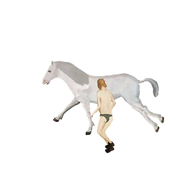 Freedom