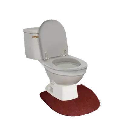 A toilet