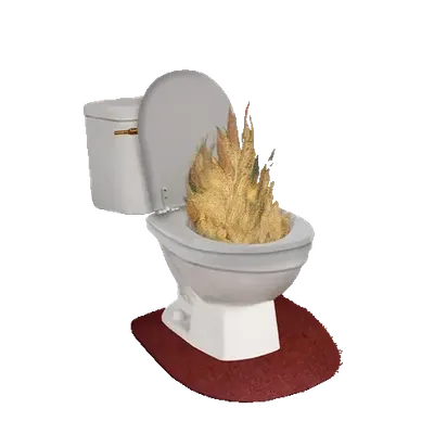 Toilet Fire