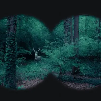Be Silent, Become Invisible