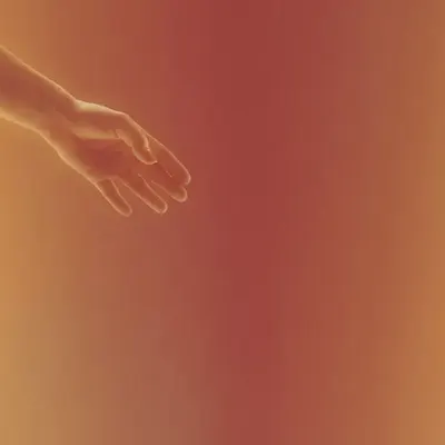 Trauma Bond