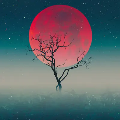 A Tree, 2025