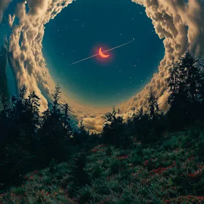 Shooting Star from a Bug's Perspective, 2024