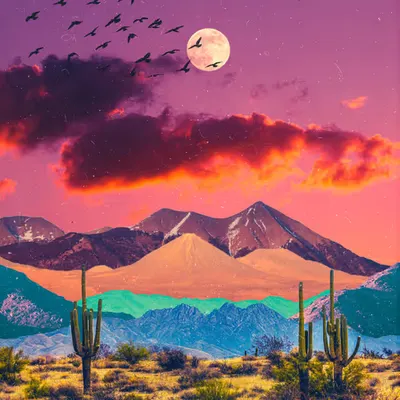 Framboise, 2021