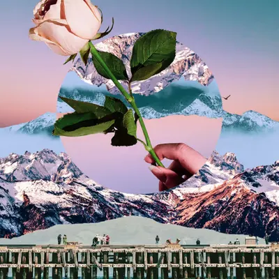 Kindness Through Dimensions, 2019