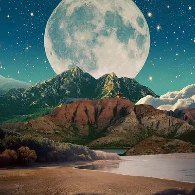 Solace, 2021
