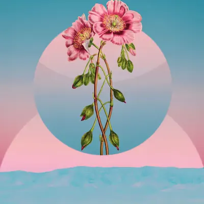 Airwaves, 2019