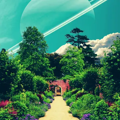 Space Garden, 2021