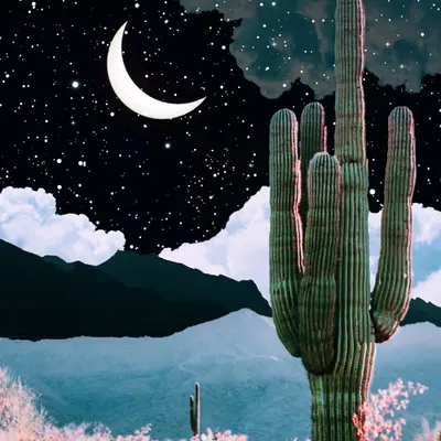 Nighttime Desert, 2020