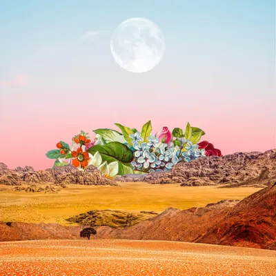 Flora and Fauna, 2019