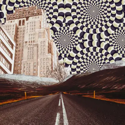Spinny, 2019