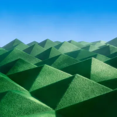 Fresh cut grass