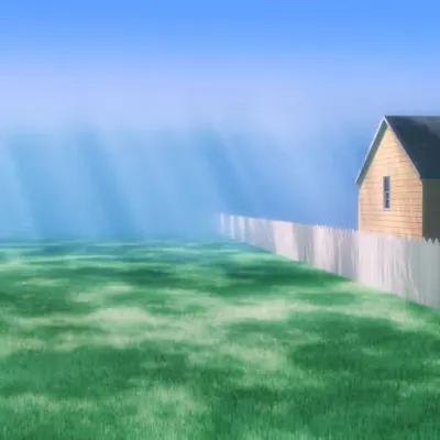 Big back yard