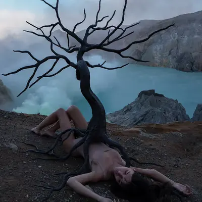 The Lost Hopes Tree #1/10