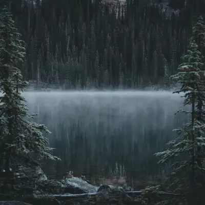 The In-Between.