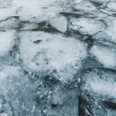 frost