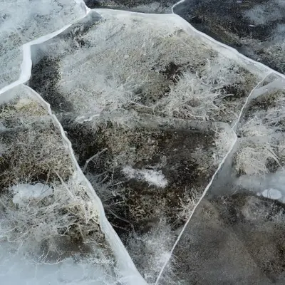 cracked