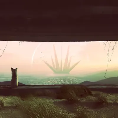 Curiosity