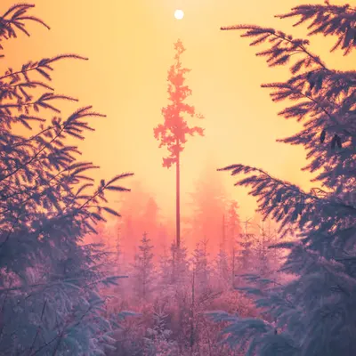 Aligned