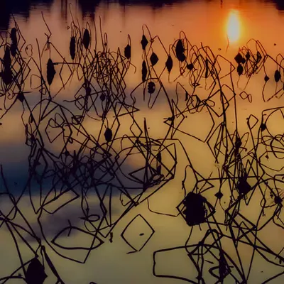 from evening walk