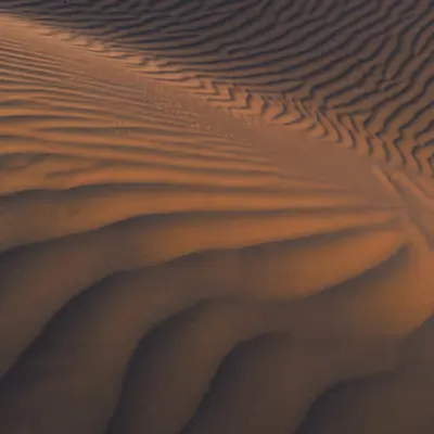 Dune Symphony #2 🏜️ 🎻