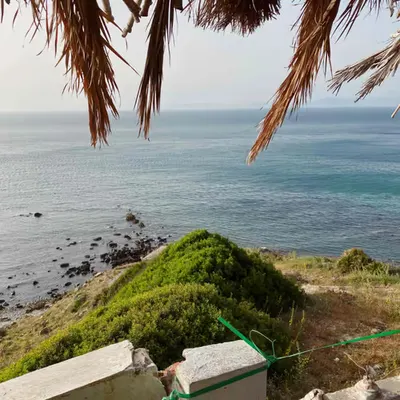 gm